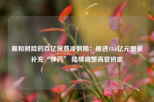 鼎和财险的百亿保费冲刺期：推进13.6亿元增资补充“弹药	” 陆续调整高管班底  第1张