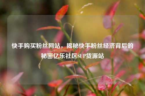 快手购买粉丝网站，揭秘快手粉丝经济背后的秘密亿乐社区SUP货源站  第1张