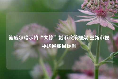鲍威尔暗示将“大修	”货币政策框架 重新审视平均通胀目标制  第1张