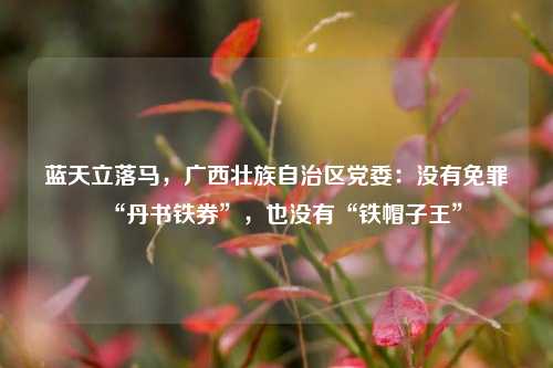 蓝天立落马，广西壮族自治区党委：没有免罪“丹书铁券	”，也没有“铁帽子王”  第1张