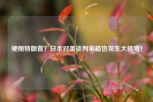 硬刚特朗普?日本对美谈判策略也发生大转弯!  第1张 硬刚特朗普?日本对美谈判策略也发生大转弯!  第1张