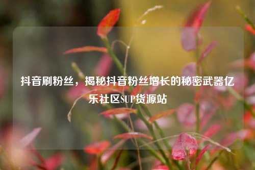 抖音刷粉丝	，揭秘抖音粉丝增长的秘密武器亿乐社区SUP货源站  第1张