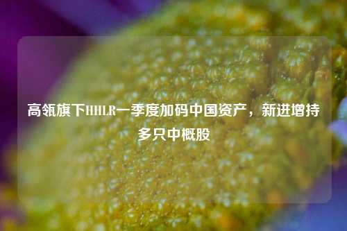 高瓴旗下HHLR一季度加码中国资产，新进增持多只中概股  第1张