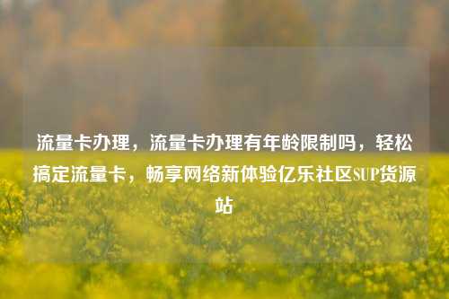 流量卡办理	，流量卡办理有年龄限制吗，轻松搞定流量卡，畅享网络新体验亿乐社区SUP货源站  第1张