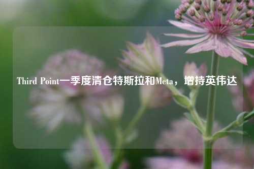 Third Point一季度清仓特斯拉和Meta，增持英伟达  第1张