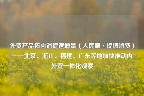 外贸产品拓内销提速增量（人民眼·提振消费）——北京、浙江、福建	、广东等地加快推动内外贸一体化观察  第1张