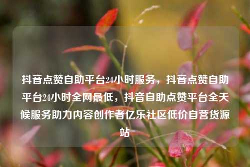 抖音点赞自助平台24小时服务，抖音点赞自助平台24小时全网最低，抖音自助点赞平台全天候服务助力内容创作者亿乐社区低价自营货源站  第1张