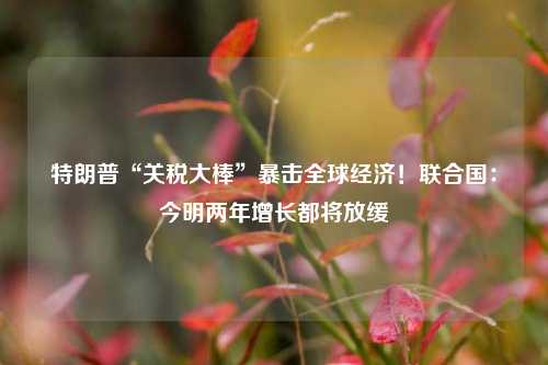 特朗普“关税大棒”暴击全球经济！联合国：今明两年增长都将放缓  第1张