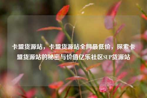 卡盟货源站，卡盟货源站全网最低价	，探索卡盟货源站的秘密与价值亿乐社区SUP货源站  第1张