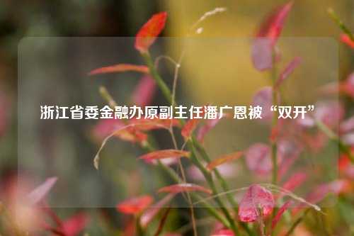 浙江省委金融办原副主任潘广恩被“双开”  第1张