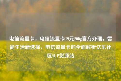 电信流量卡，电信流量卡19元200g官方办理	，智能生活新选择，电信流量卡的全面解析亿乐社区SUP货源站  第1张