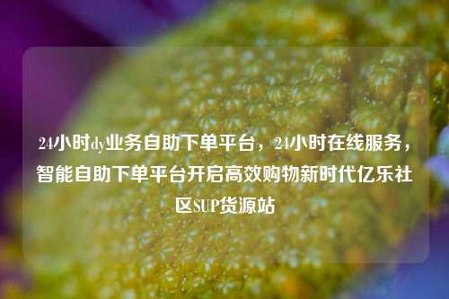 24小时dy业务自助下单平台，24小时在线服务，智能自助下单平台开启高效购物新时代亿乐社区SUP货源站  第1张