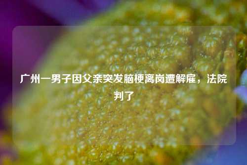 广州一男子因父亲突发脑梗离岗遭解雇	，法院判了  第1张