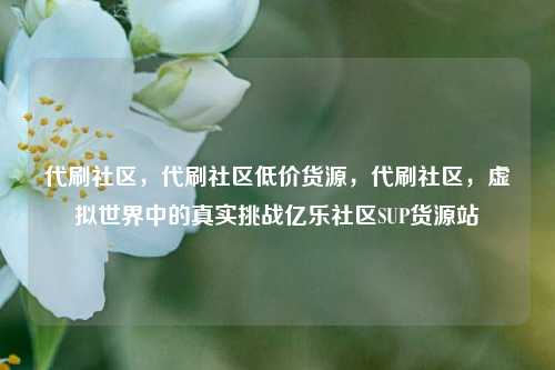 代刷社区	，代刷社区低价货源，代刷社区，虚拟世界中的真实挑战亿乐社区SUP货源站  第1张