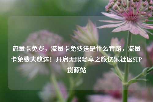 流量卡免费，流量卡免费送是什么套路，流量卡免费大放送！开启无限畅享之旅亿乐社区SUP货源站  第1张