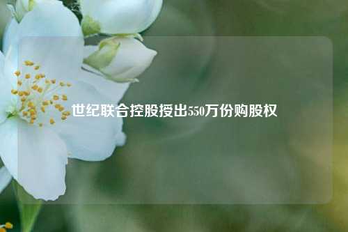 世纪联合控股授出550万份购股权  第1张