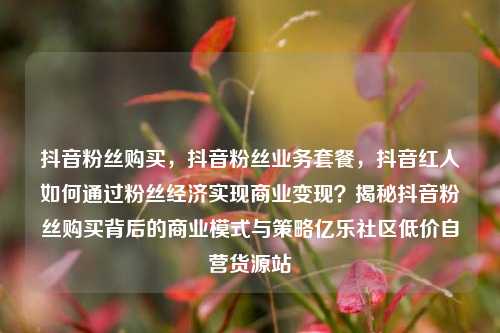 抖音粉丝购买	，抖音粉丝业务套餐，抖音红人如何通过粉丝经济实现商业变现？揭秘抖音粉丝购买背后的商业模式与策略亿乐社区低价自营货源站  第1张