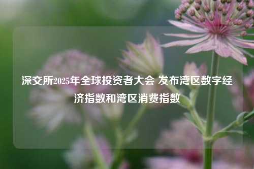 深交所2025年全球投资者大会 发布湾区数字经济指数和湾区消费指数  第1张