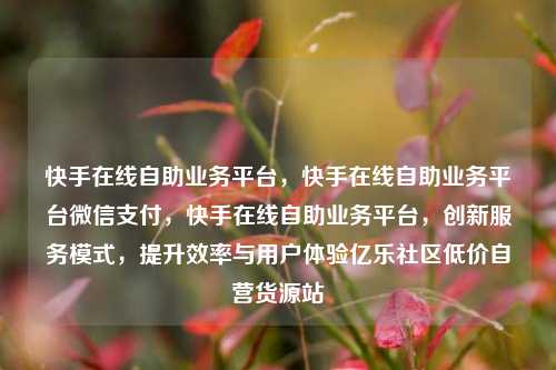 快手在线自助业务平台，快手在线自助业务平台微信支付	，快手在线自助业务平台，创新服务模式，提升效率与用户体验亿乐社区低价自营货源站  第1张