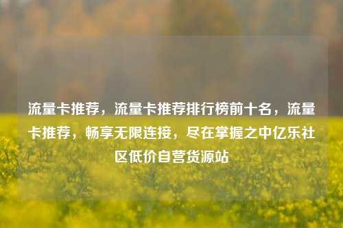 流量卡推荐	，流量卡推荐排行榜前十名，流量卡推荐，畅享无限连接，尽在掌握之中亿乐社区低价自营货源站  第1张