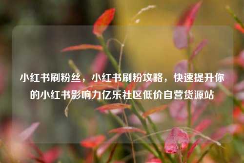 小红书刷粉丝，小红书刷粉攻略	，快速提升你的小红书影响力亿乐社区低价自营货源站  第1张