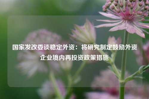 国家发改委谈稳定外资：将研究制定鼓励外资企业境内再投资政策措施  第1张