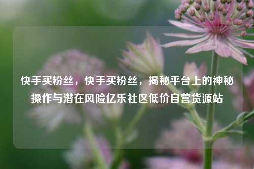快手买粉丝，快手买粉丝	，揭秘平台上的神秘操作与潜在风险亿乐社区低价自营货源站  第1张