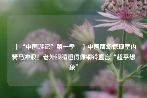 【“中国游记	”第一季㉚】中国商场惊现室内骑马冲浪！老外眼睛瞪得像铜铃直言“超乎想象”  第1张