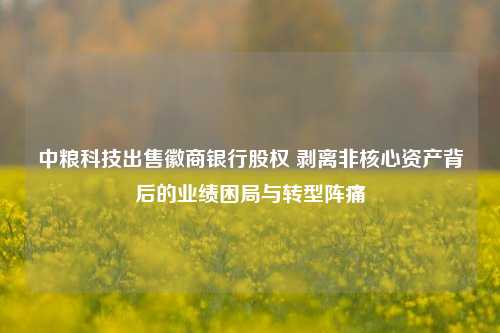 中粮科技出售徽商银行股权 剥离非核心资产背后的业绩困局与转型阵痛  第1张 中粮科技出售徽商银行股权 剥离非核心资产背后的业绩困局与转型阵痛  第1张