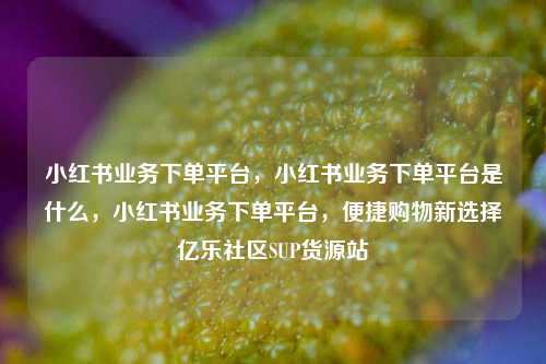 小红书业务下单平台，小红书业务下单平台是什么，小红书业务下单平台	，便捷购物新选择亿乐社区SUP货源站  第1张