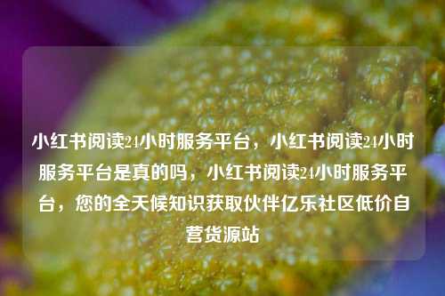 小红书阅读24小时服务平台，小红书阅读24小时服务平台是真的吗	，小红书阅读24小时服务平台，您的全天候知识获取伙伴亿乐社区低价自营货源站  第1张