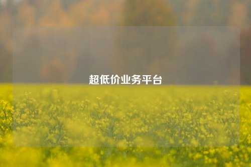 超低价业务平台  第1张 超低价业务平台  第1张