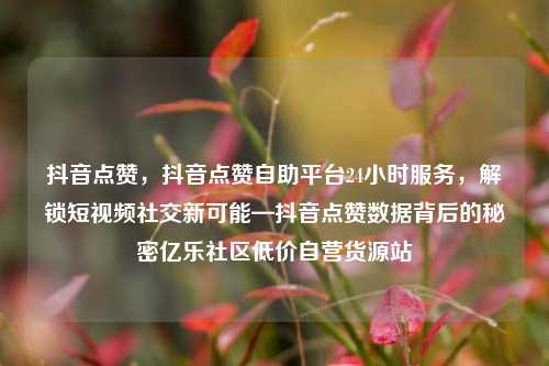 抖音点赞，抖音点赞自助平台24小时服务	，解锁短视频社交新可能—抖音点赞数据背后的秘密亿乐社区低价自营货源站  第1张