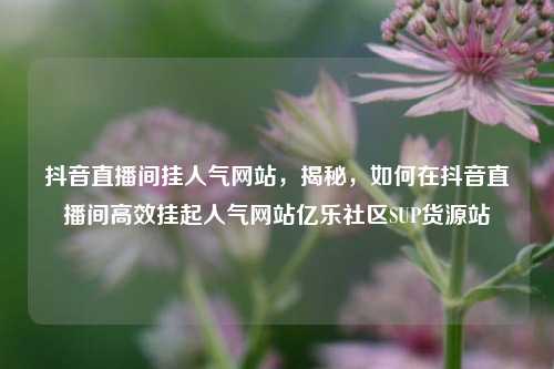 抖音直播间挂人气网站，揭秘	，如何在抖音直播间高效挂起人气网站亿乐社区SUP货源站  第1张