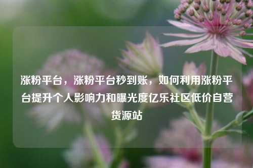 涨粉平台	，涨粉平台秒到账，如何利用涨粉平台提升个人影响力和曝光度亿乐社区低价自营货源站  第1张