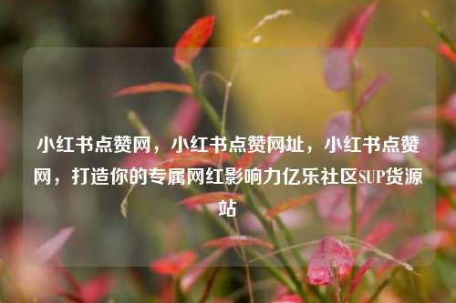 小红书点赞网，小红书点赞网址	，小红书点赞网，打造你的专属网红影响力亿乐社区SUP货源站  第1张