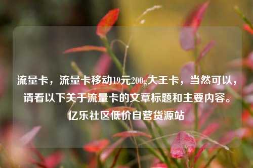 流量卡，流量卡移动19元200g大王卡，当然可以	，请看以下关于流量卡的文章标题和主要内容。亿乐社区低价自营货源站  第1张