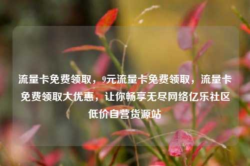 流量卡免费领取，9元流量卡免费领取，流量卡免费领取大优惠	，让你畅享无尽网络亿乐社区低价自营货源站  第1张