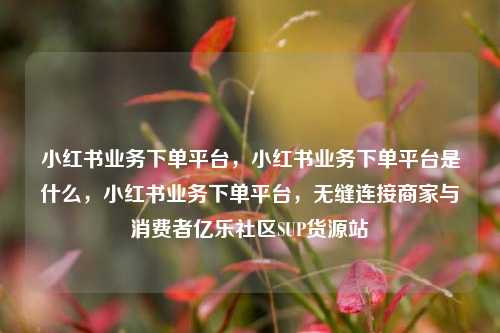 小红书业务下单平台，小红书业务下单平台是什么，小红书业务下单平台	，无缝连接商家与消费者亿乐社区SUP货源站  第1张