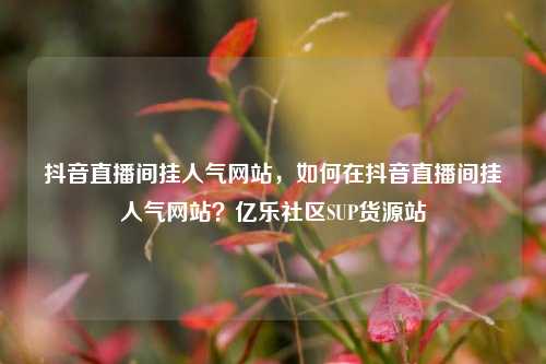 抖音直播间挂人气网站，如何在抖音直播间挂人气网站？亿乐社区SUP货源站  第1张
