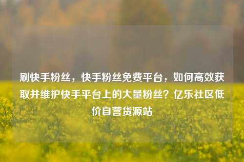 刷快手粉丝，快手粉丝免费平台，如何高效获取并维护快手平台上的大量粉丝？亿乐社区低价自营货源站  第1张